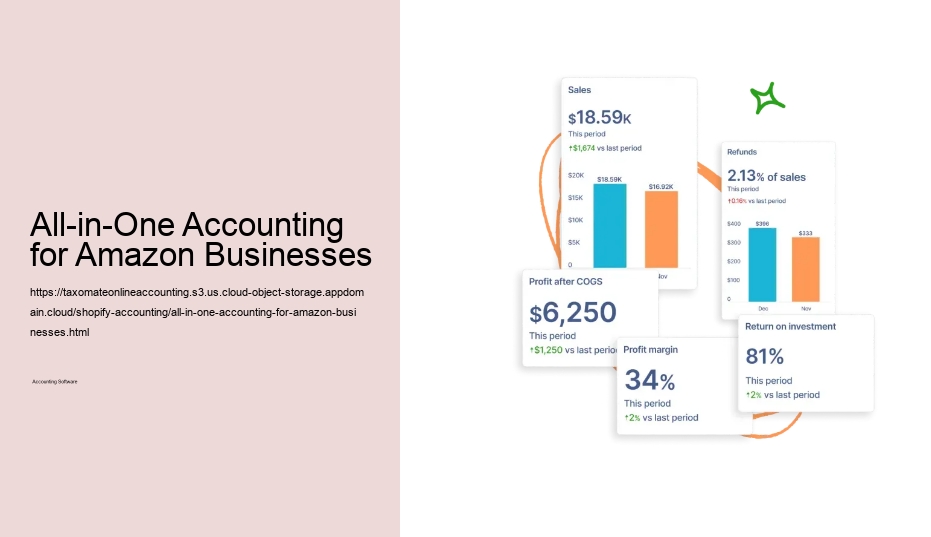 All-in-One Accounting for Amazon Businesses