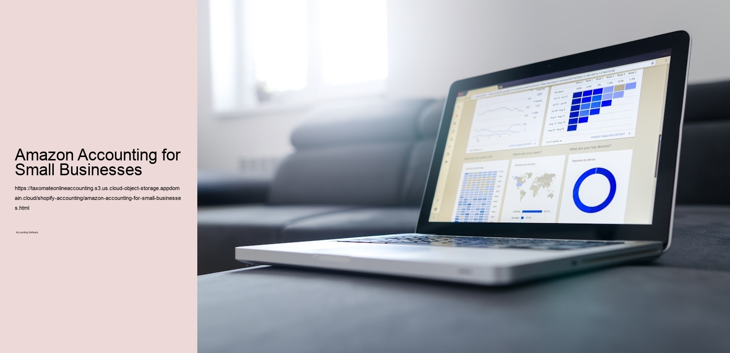 Amazon Accounting for Small Businesses