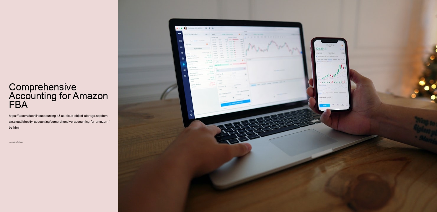 Comprehensive Accounting for Amazon FBA